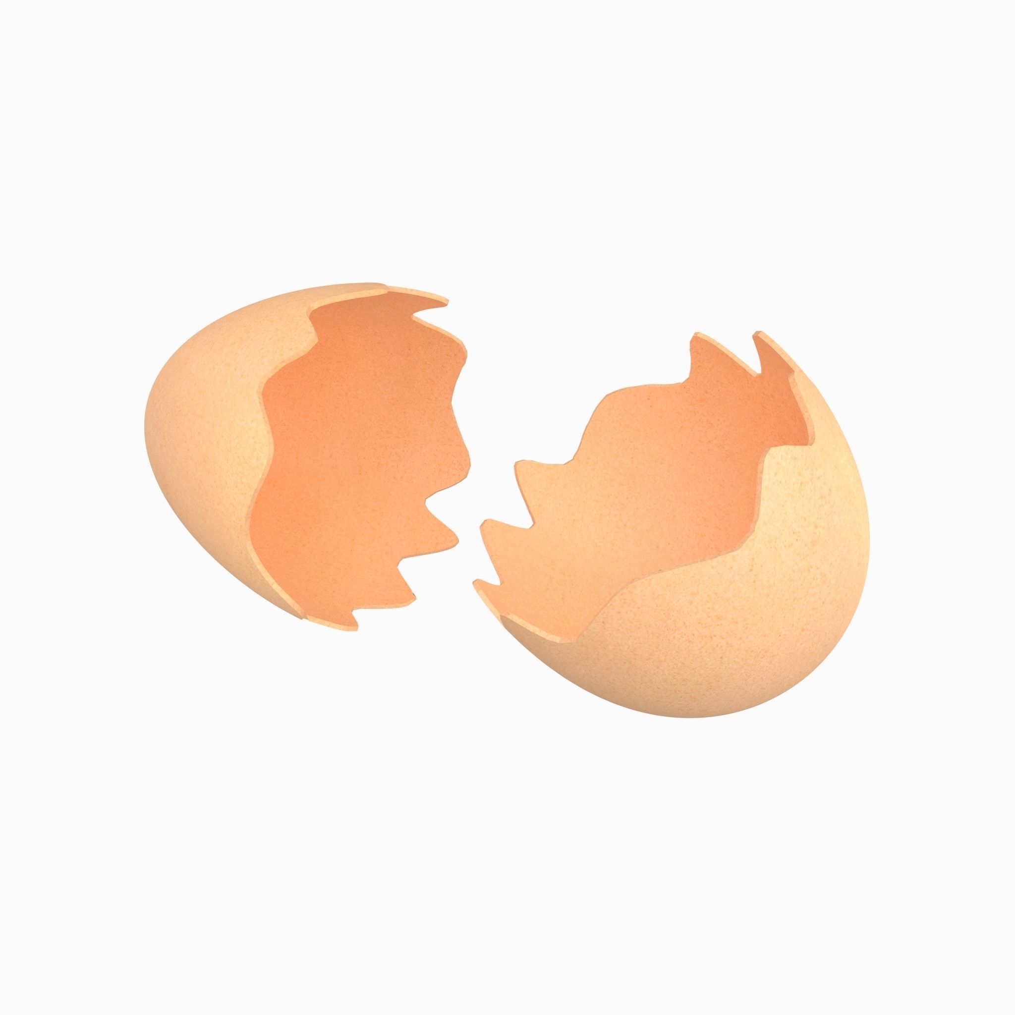 Egg Shell v1 Pack 01 Low-poly 3D model_1