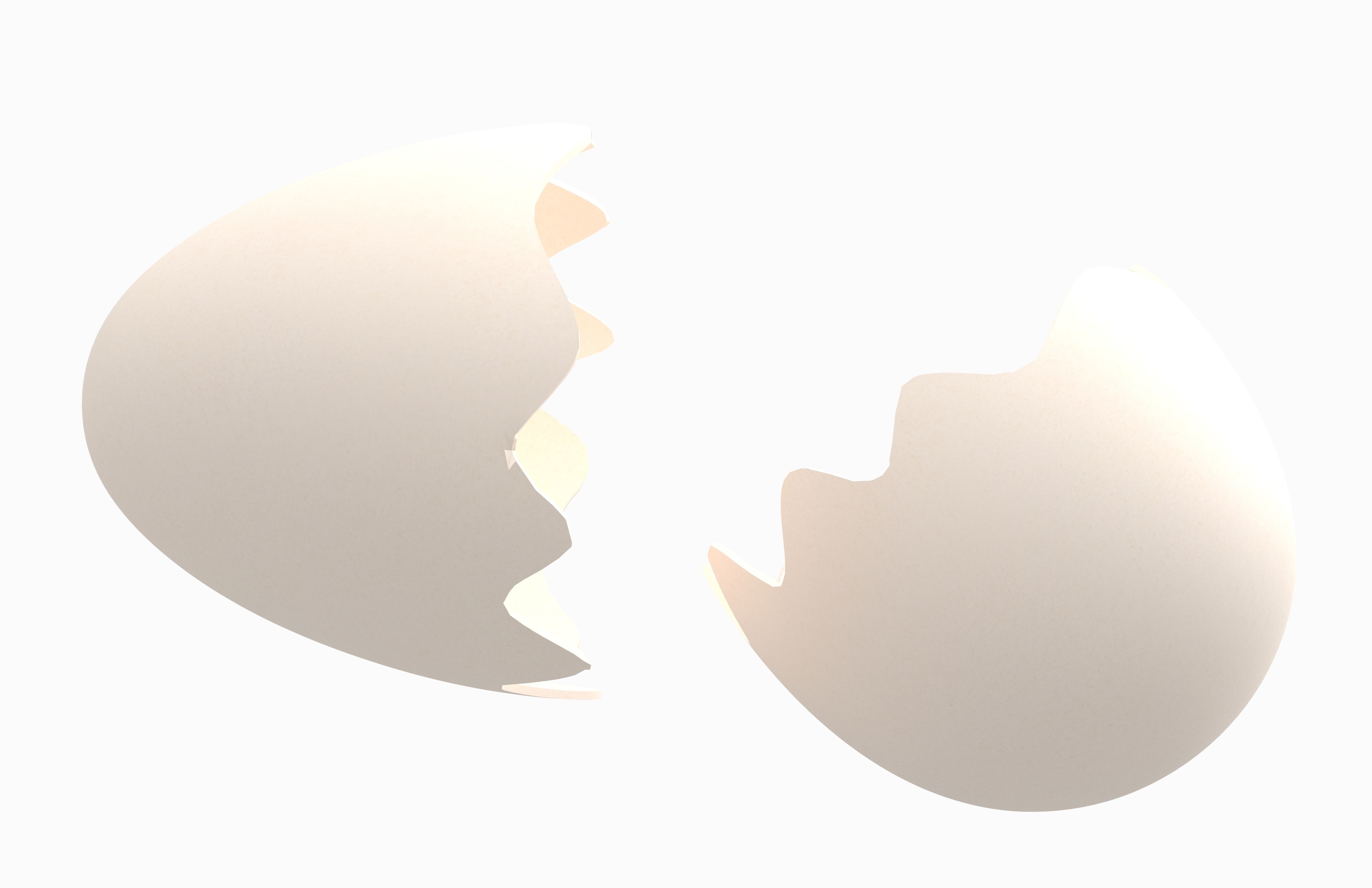 Egg Shell v1 Pack 01 Low-poly 3D model_16