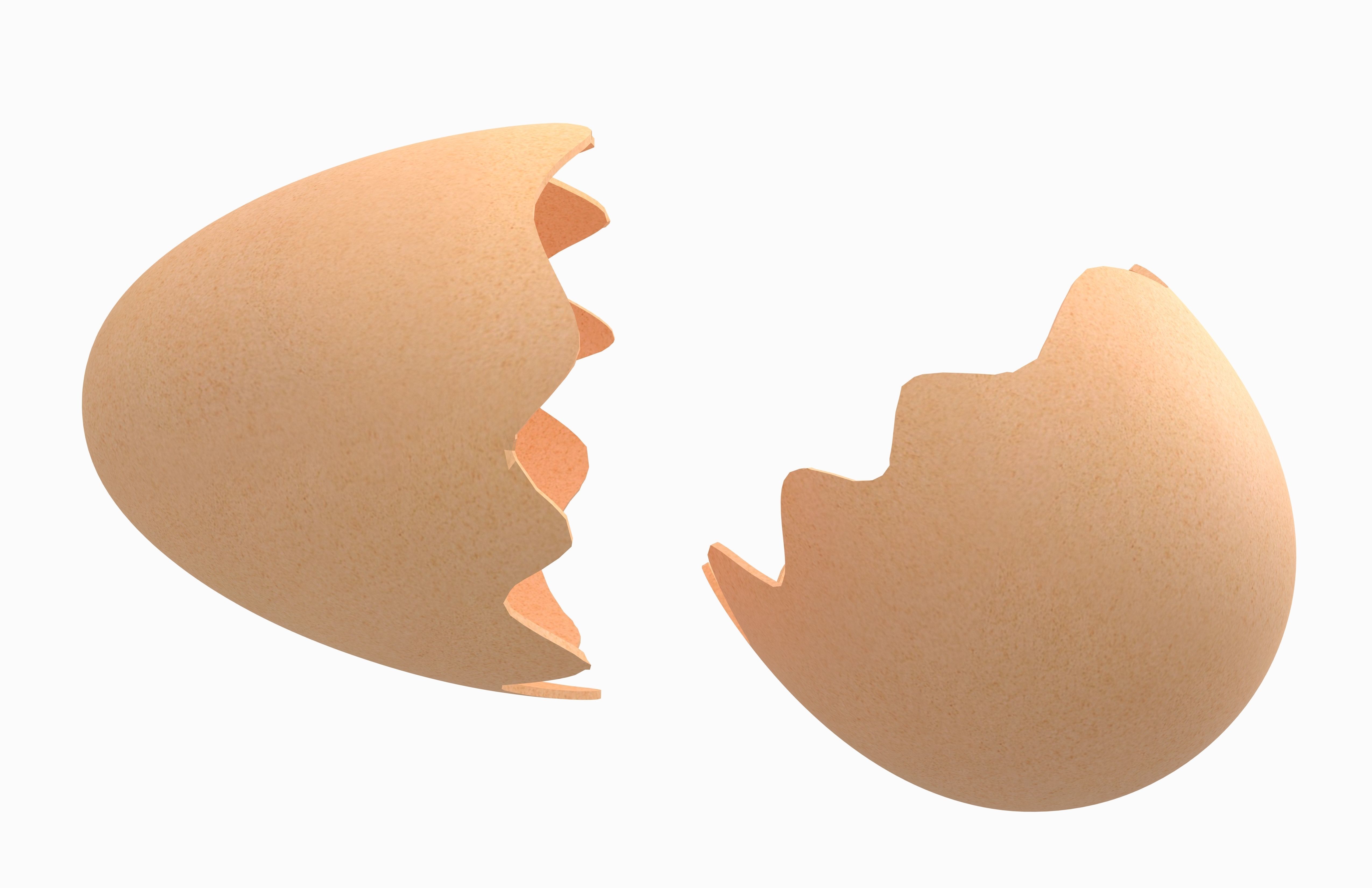 Egg Shell v1 Pack 01 Low-poly 3D model_4