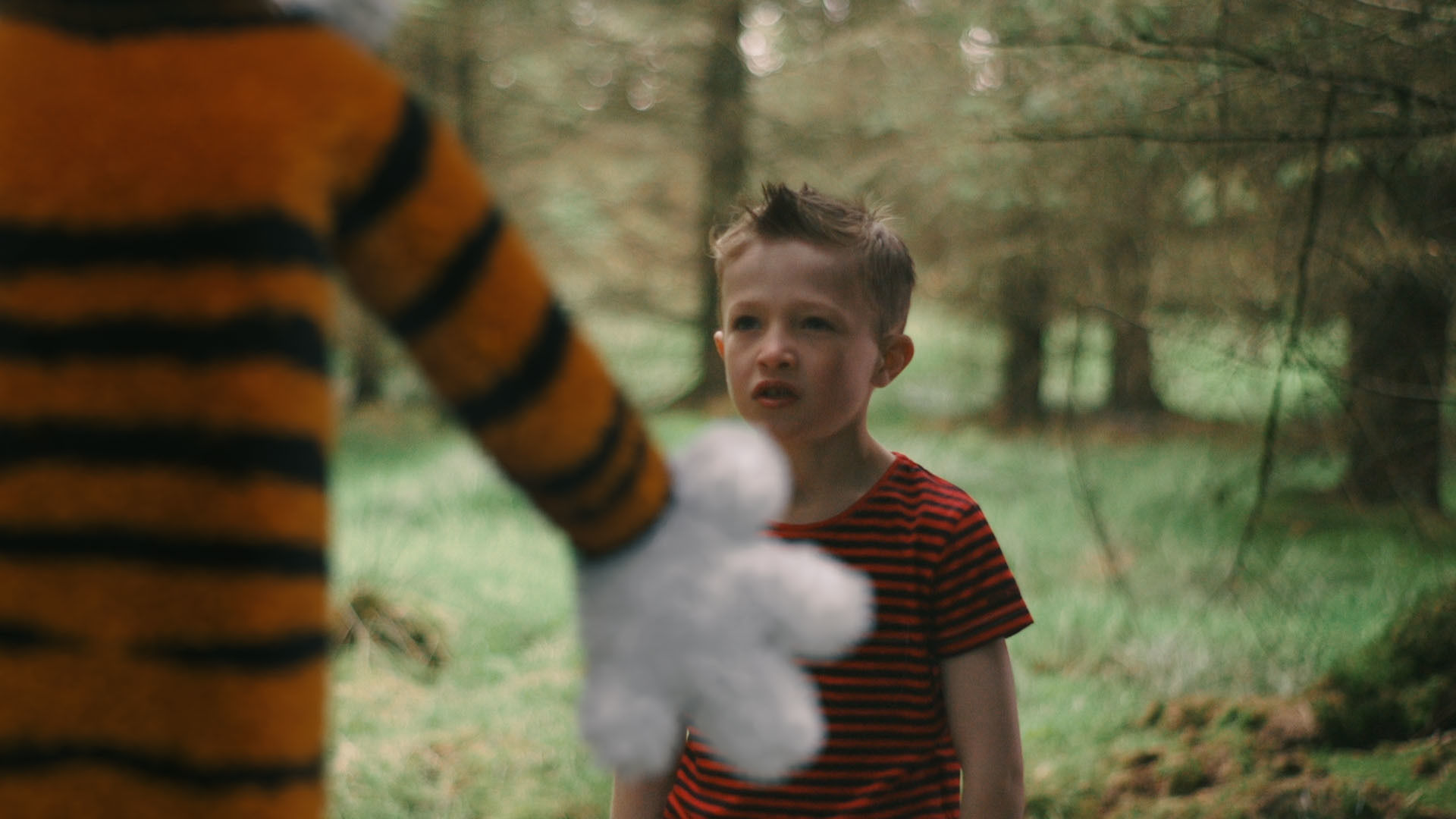 Character Tiger 3D Low-poly 3D model_5