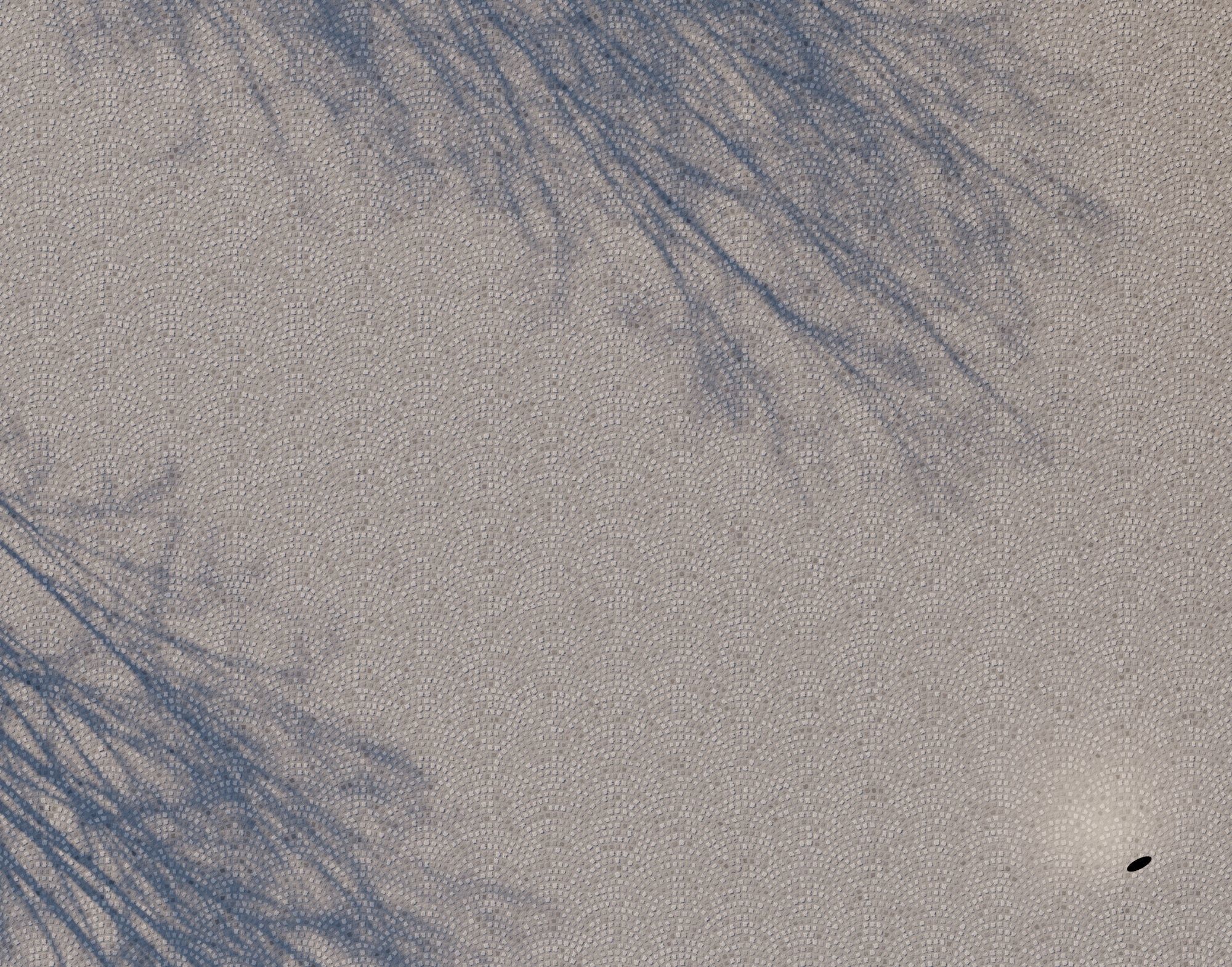 Cobblestone Pavement - S001 - 8k Seamless Texture  Texture_2