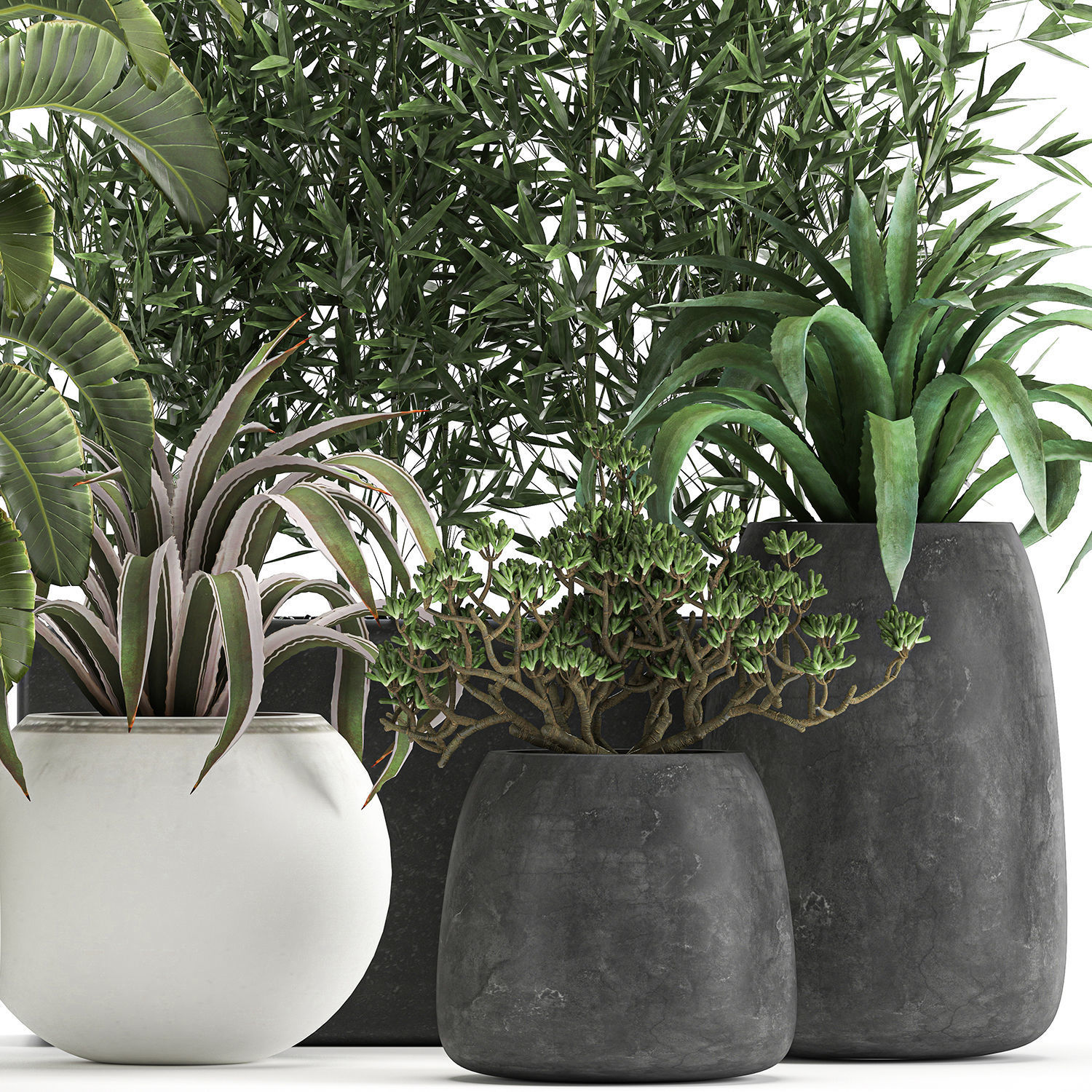 Collection of decorative plants in flowerpots 820 3D model_4