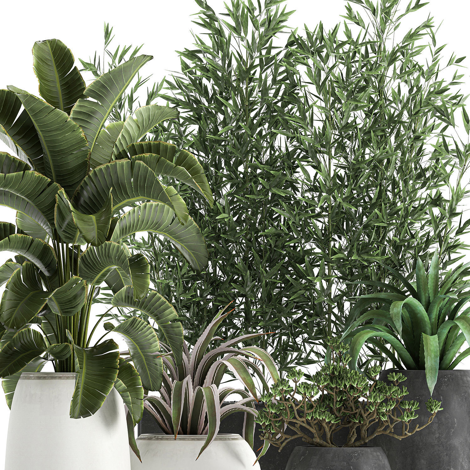 Collection of decorative plants in flowerpots 820 3D model_2