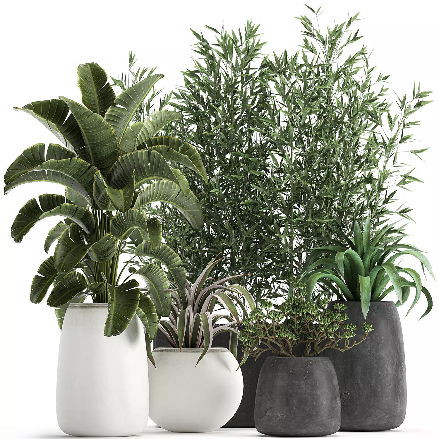 Collection of decorative plants in flowerpots 820 3D model_0