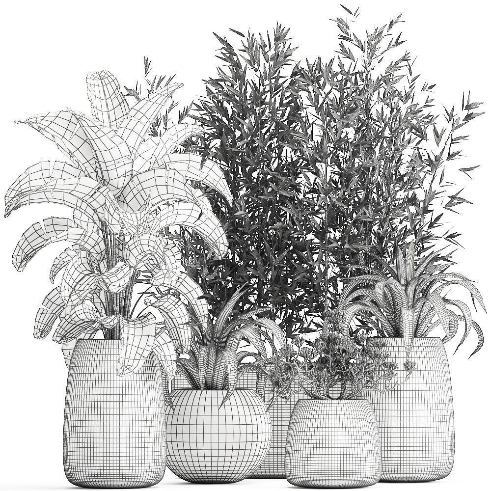 Collection of decorative plants in flowerpots 820 3D model_6