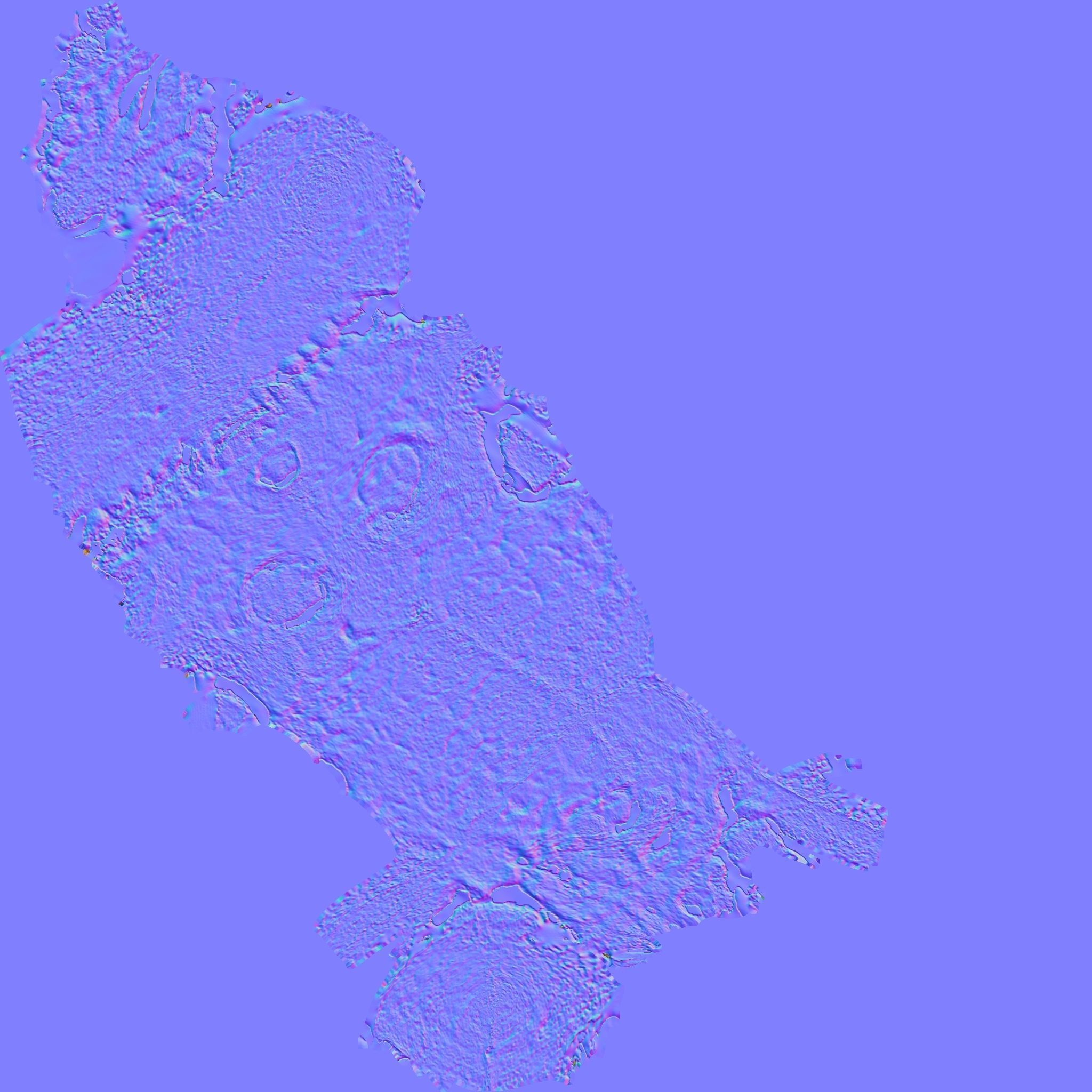 Skull Aegyptopithecus Zeuxis Low Poly with textures 4k Free low-poly 3D model_3