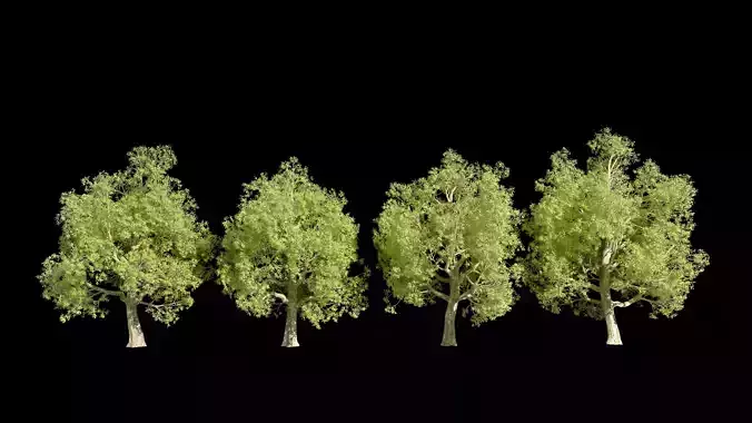 Tree Pack 4 model set
