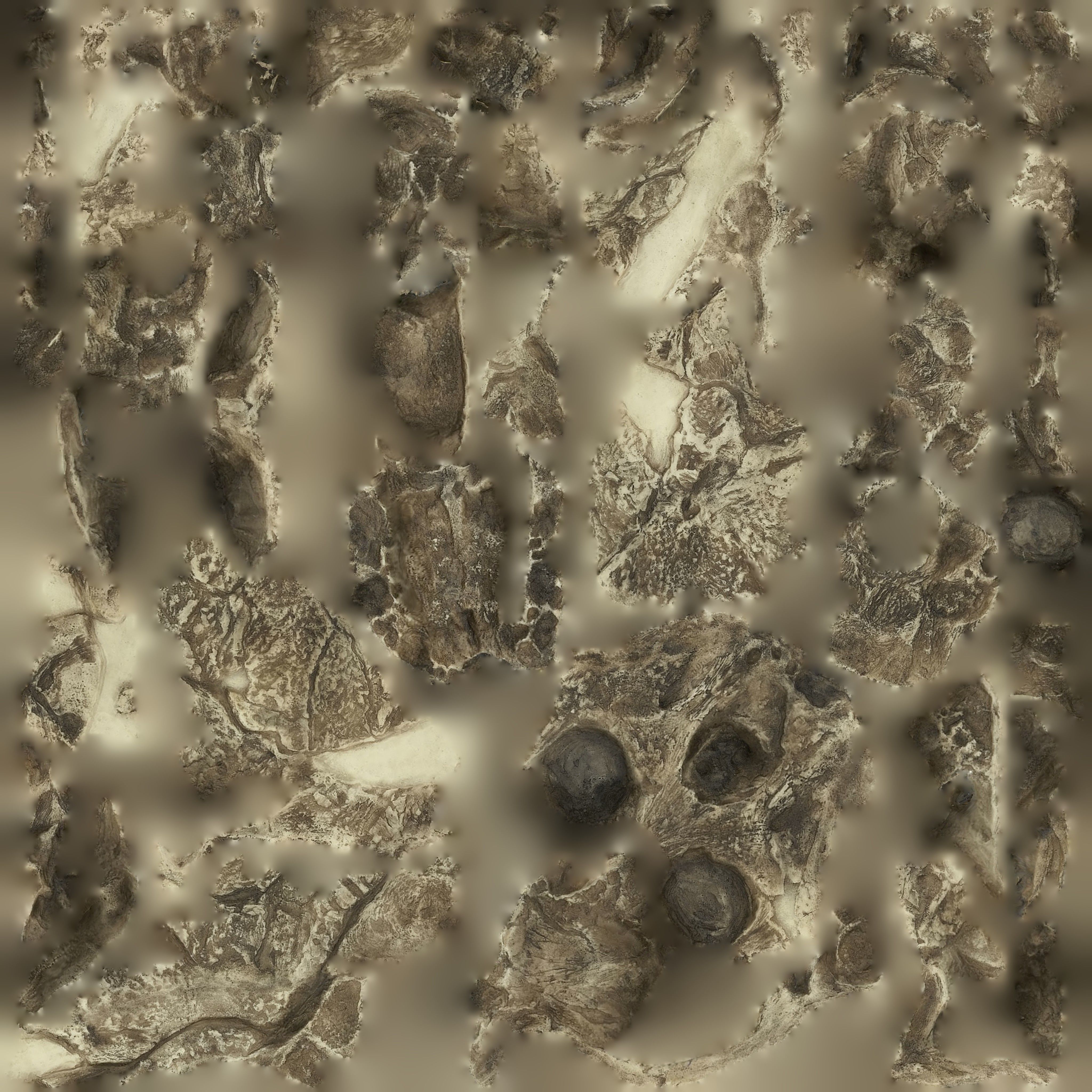 Realistic Australopithecus Africanus Mrs Ples Low-poly 3D model_5