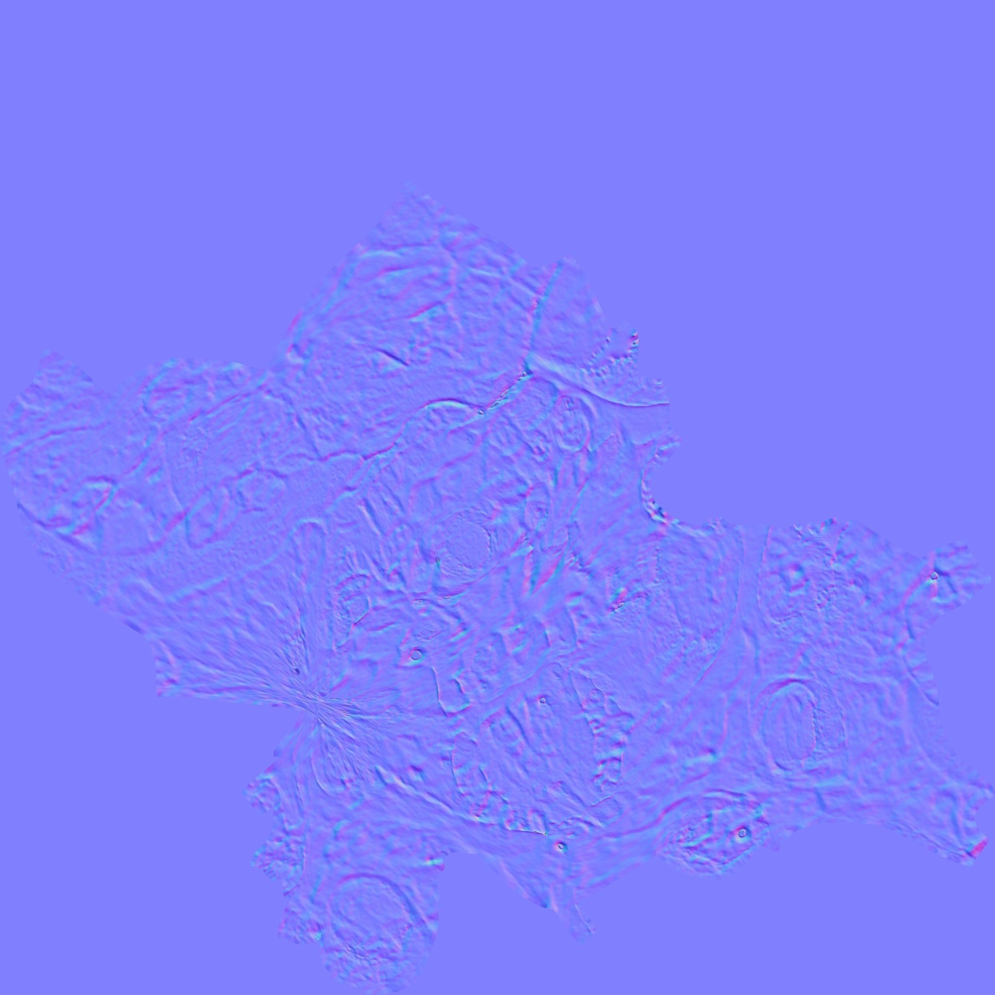 Realistic Australopithecus Africanus Mrs Ples Low-poly 3D model_7