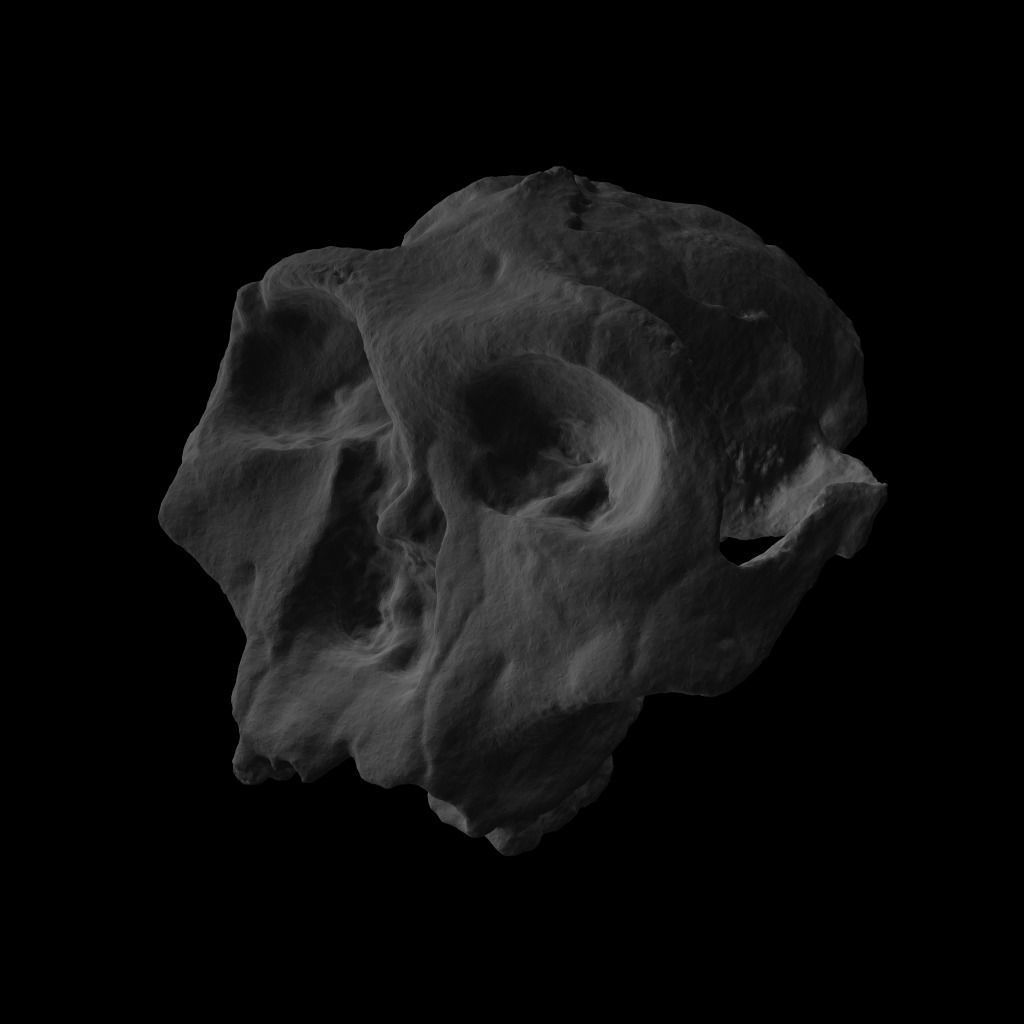  Skull Realistic Australopithecus Robustus 3D model Low-poly 3D model_7