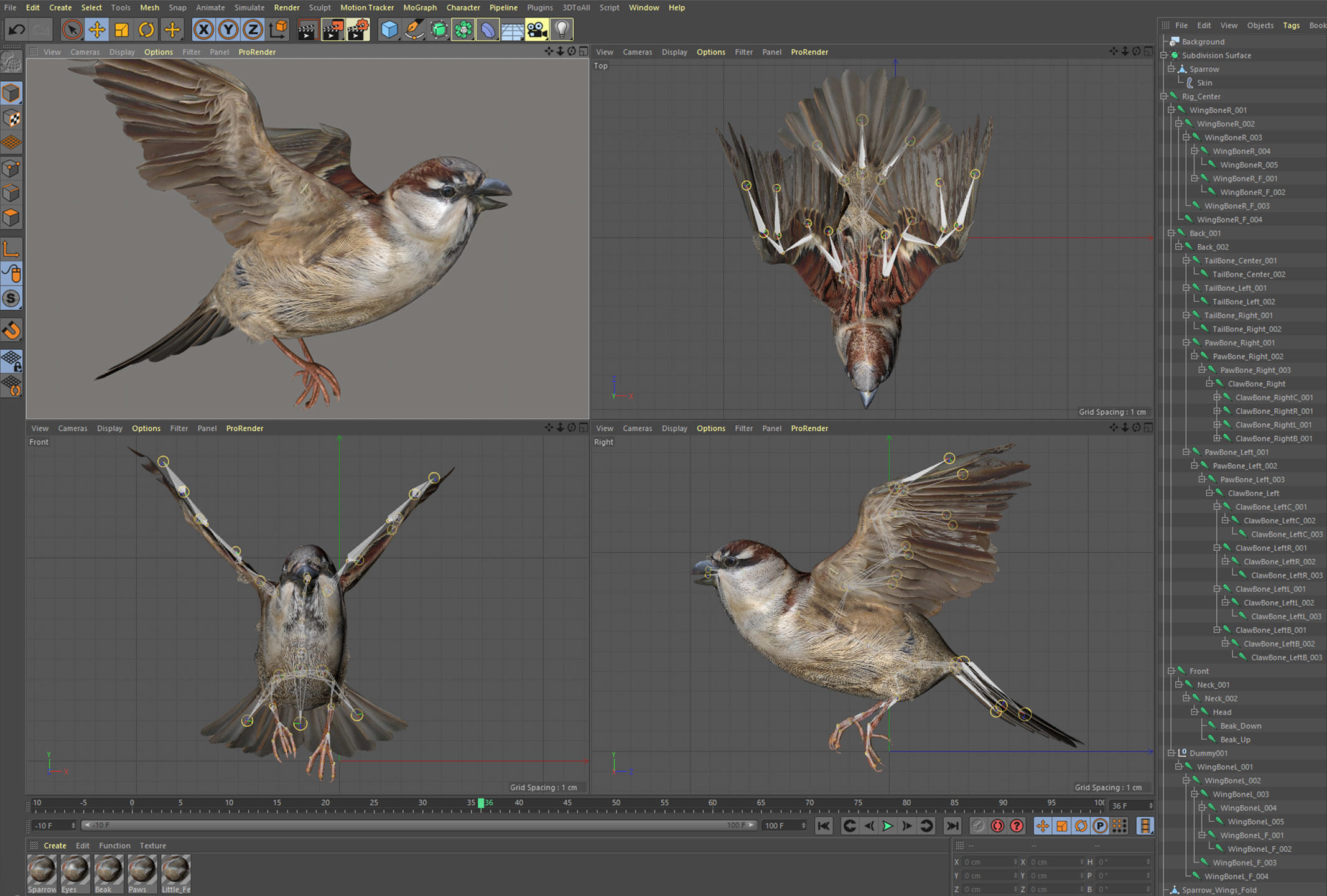Animated Sparrow 3D model_9