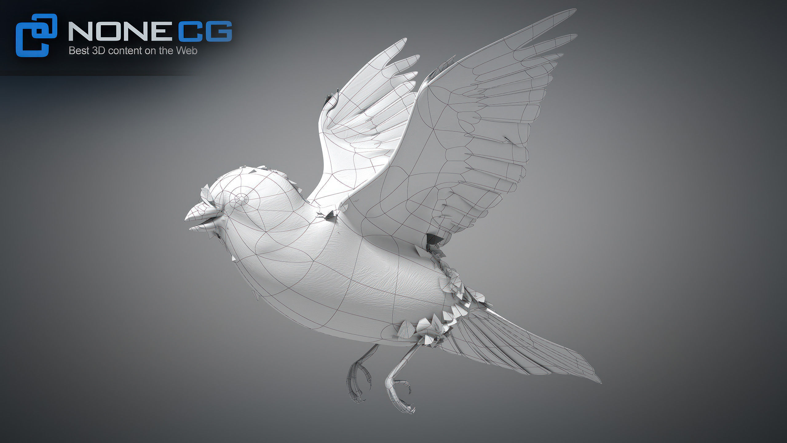 Animated Sparrow 3D model_24