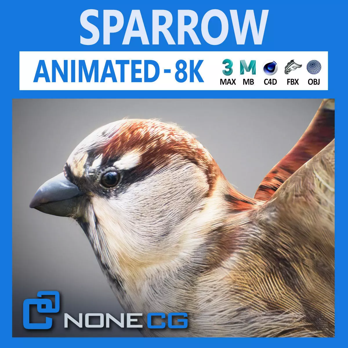 Animated Sparrow 3D model_0