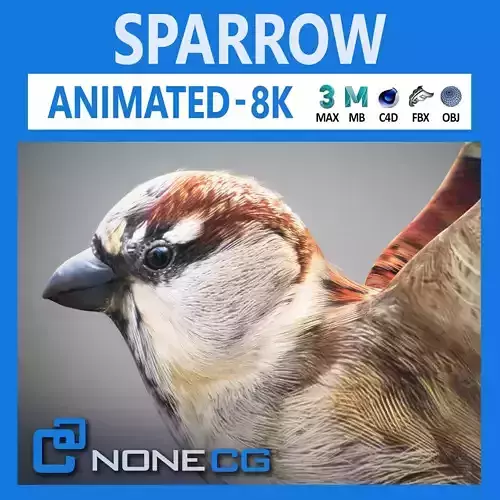 Animated Sparrow 3D model