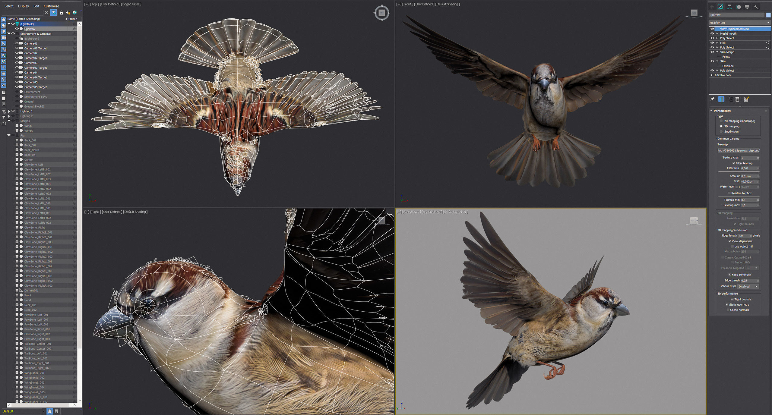 Animated Sparrow 3D model_6