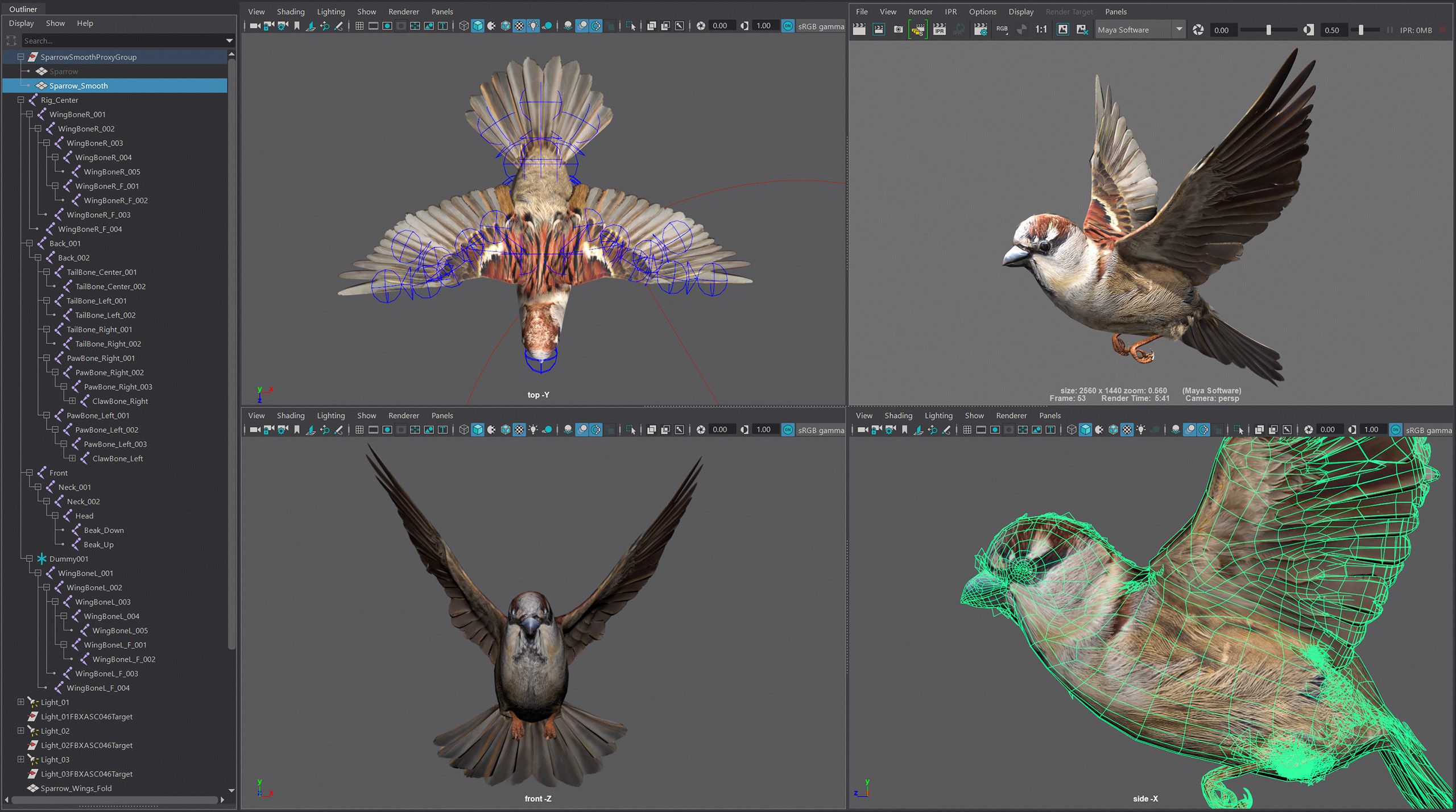 Animated Sparrow 3D model_8