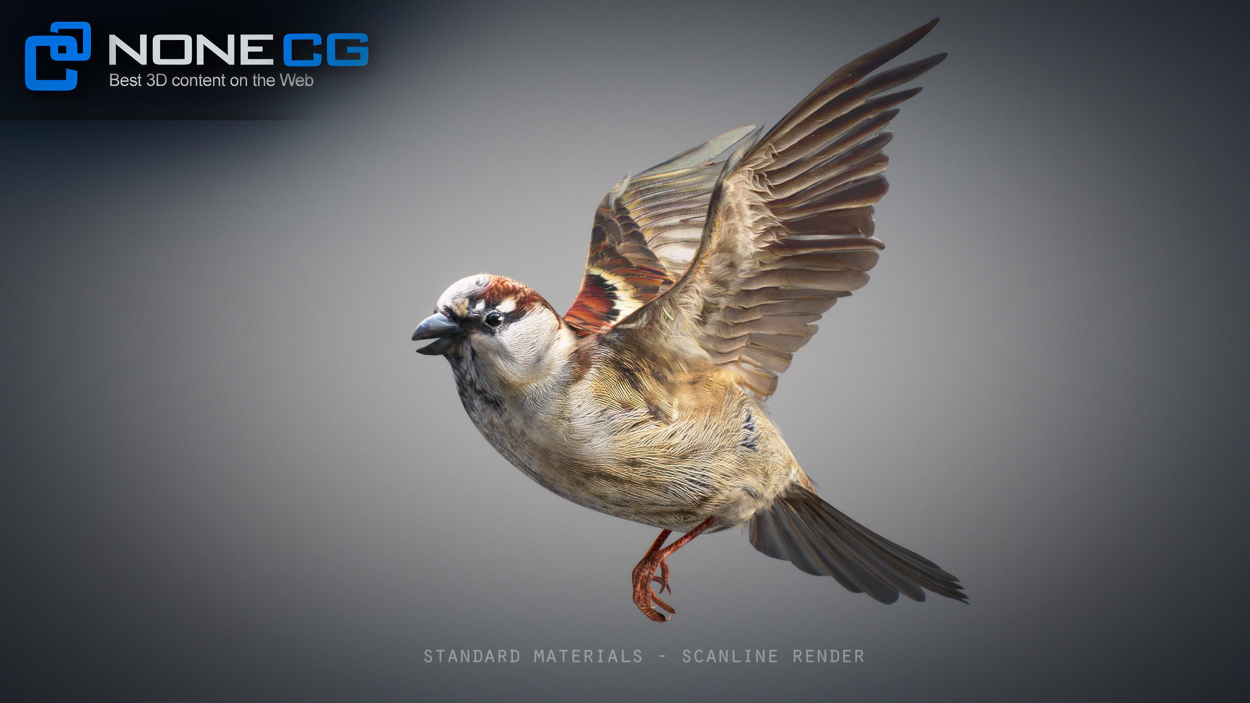 Animated Sparrow 3D model_23