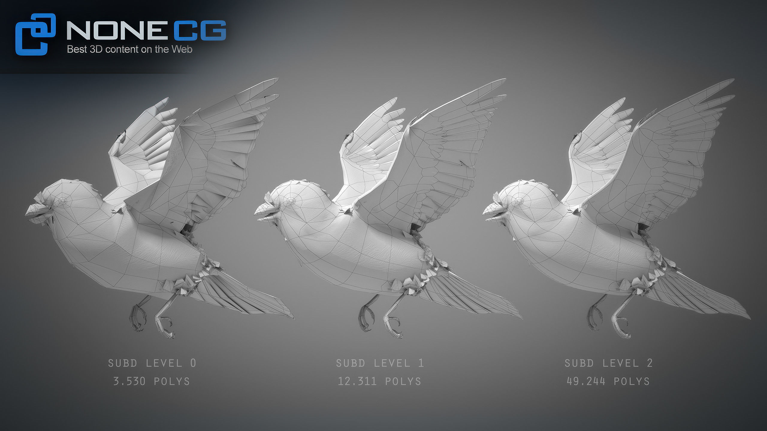 Animated Sparrow 3D model_25