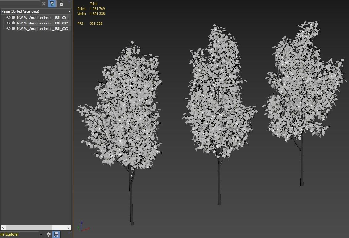 American linden set 01 3D model_4