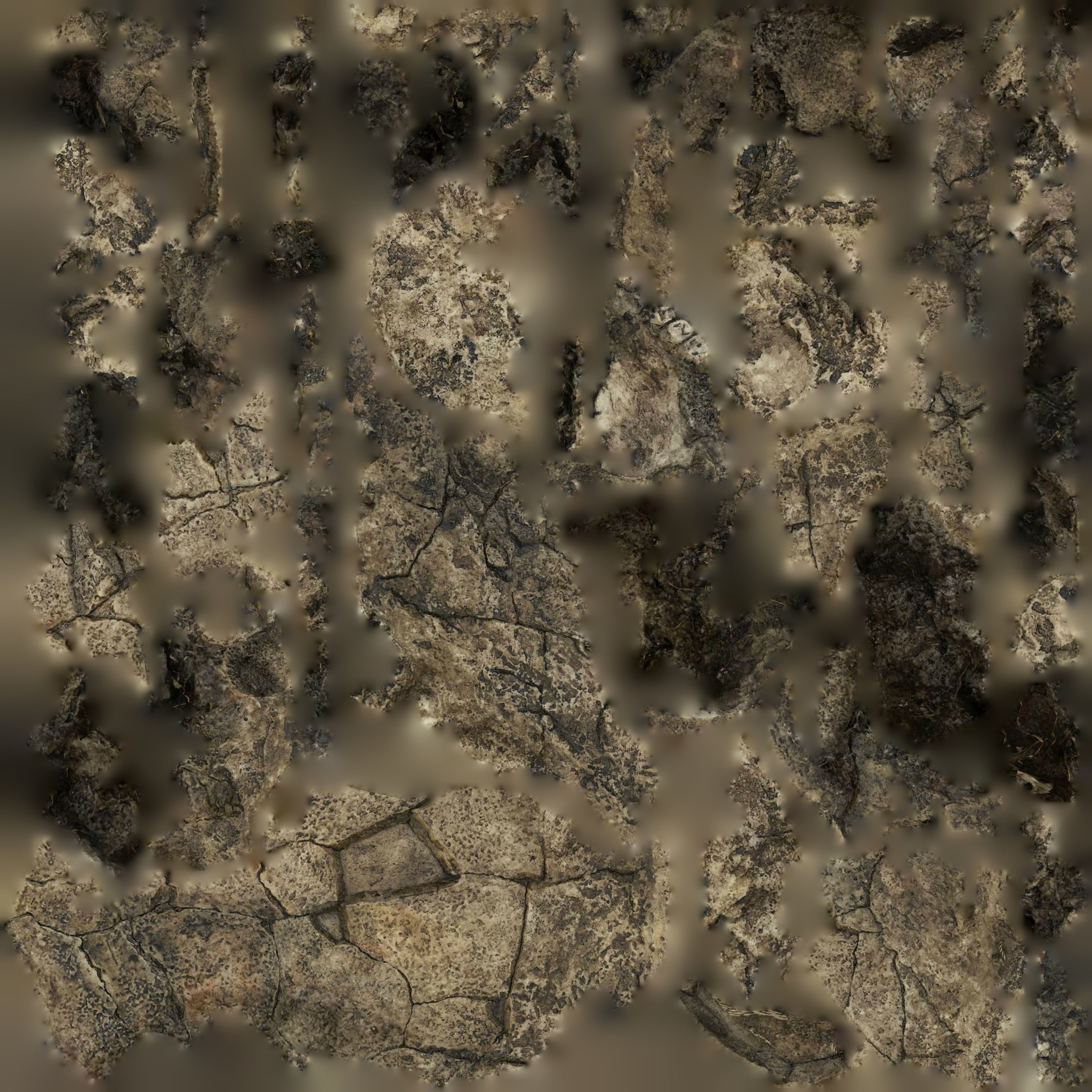 3D Skull Realistic Homo Erectus Sangiran Low-poly 3D model_5