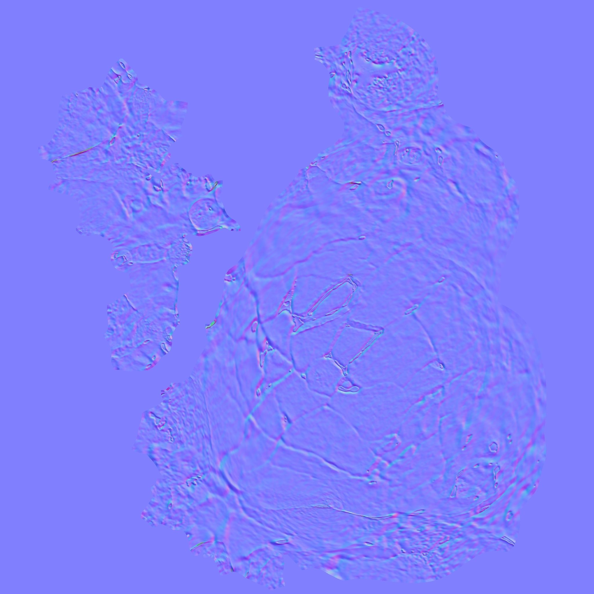 3D Skull Realistic Homo Erectus Sangiran Low-poly 3D model_7