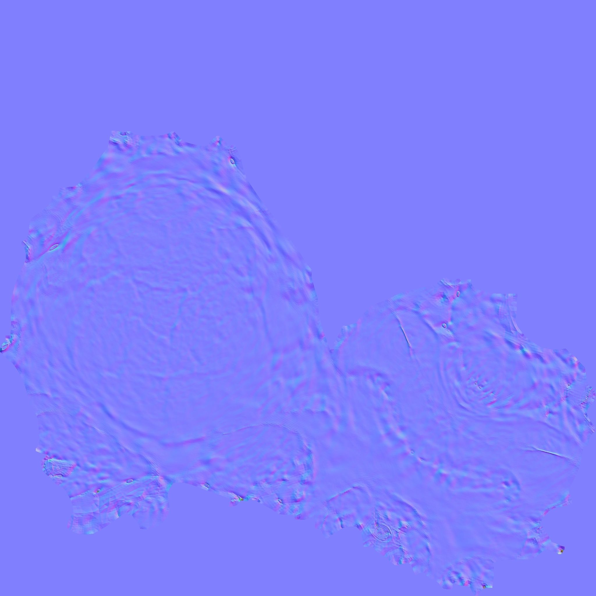  Realisitic Homo Ergaster Nariokotome Boy 3D model Low-poly 3D model_2