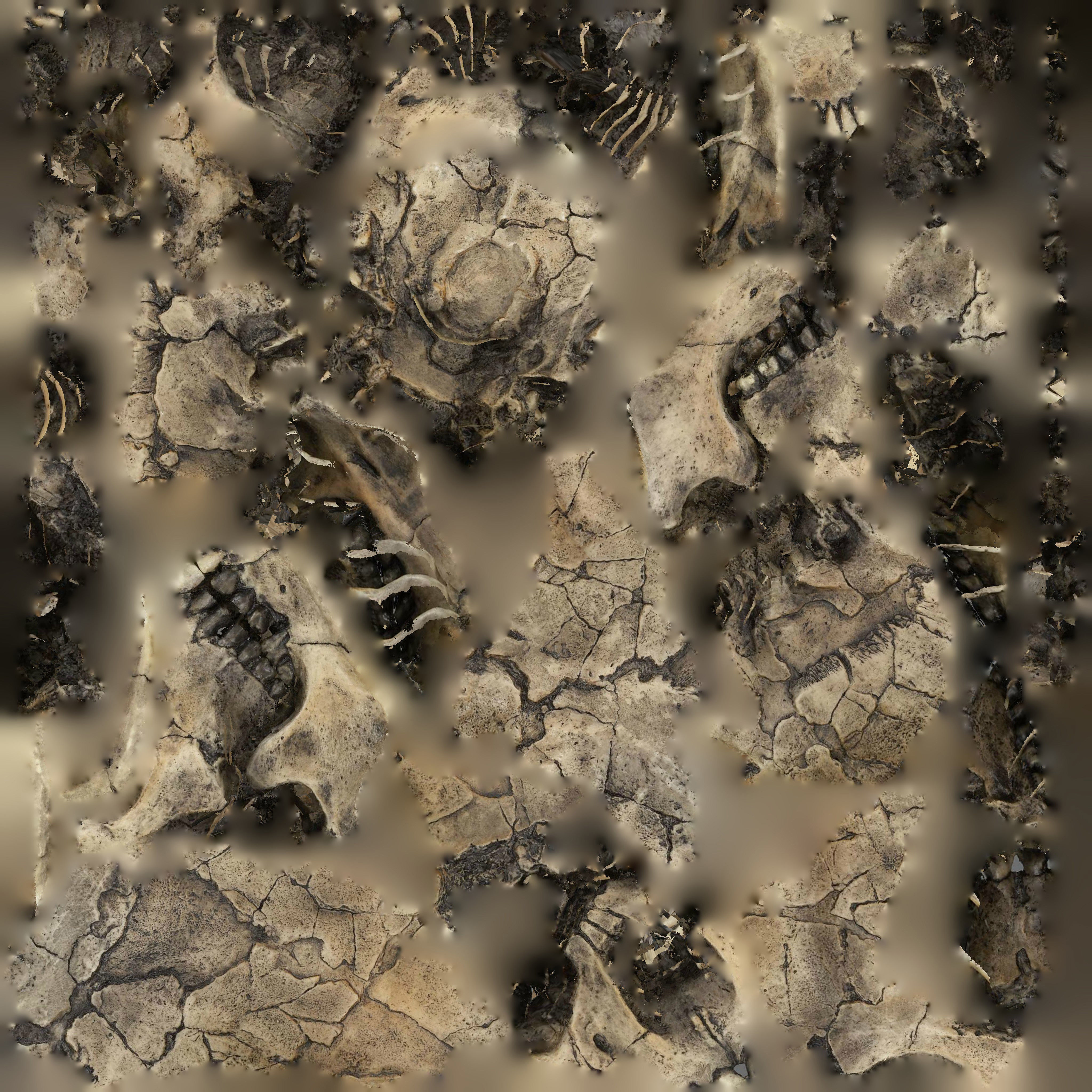  Realisitic Homo Ergaster Nariokotome Boy 3D model Low-poly 3D model_10