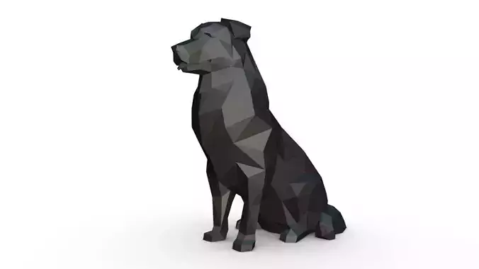berger australien low poly