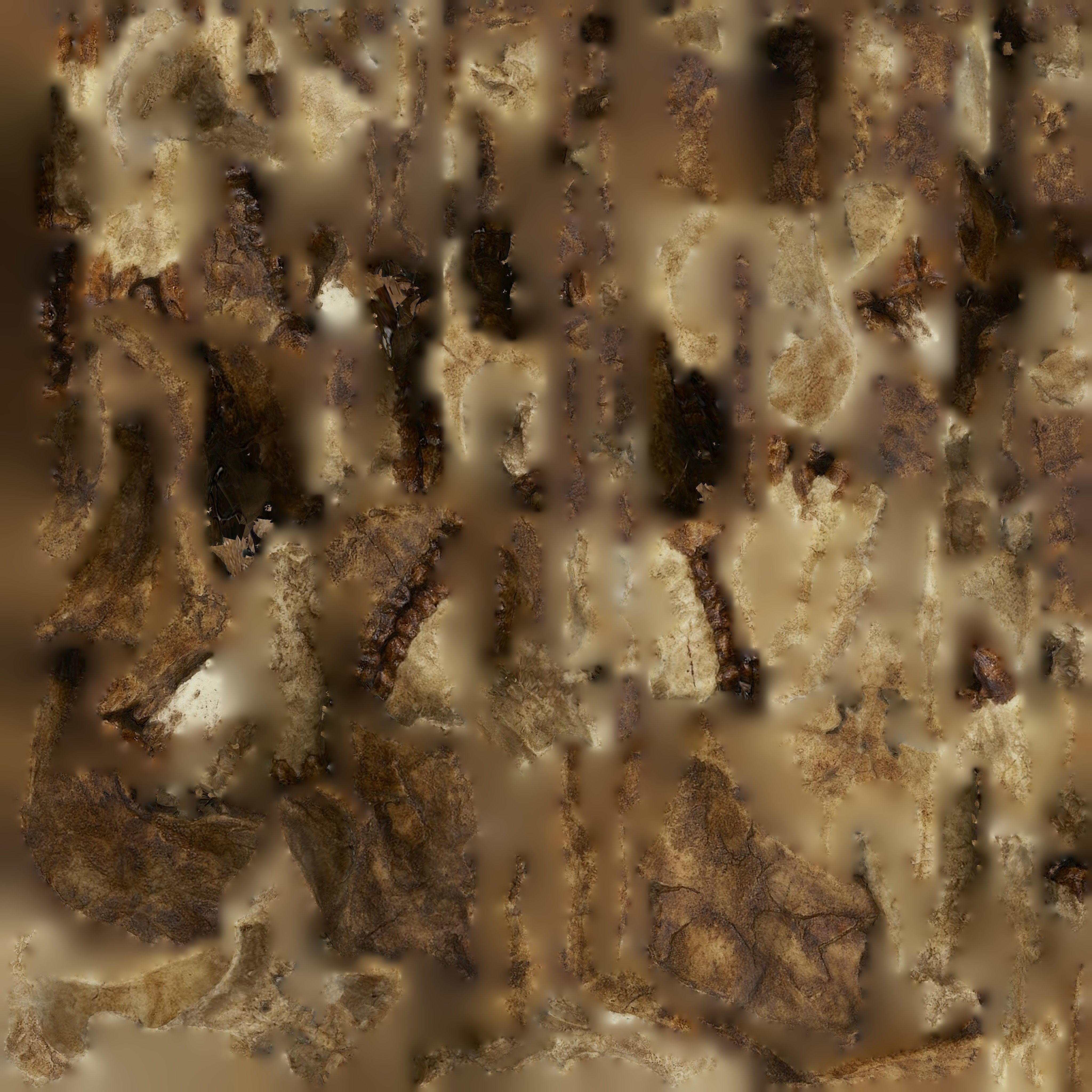 3D model Skull Realistic Siva-pithecus skull 3d model evolution Low-poly 3D model_5