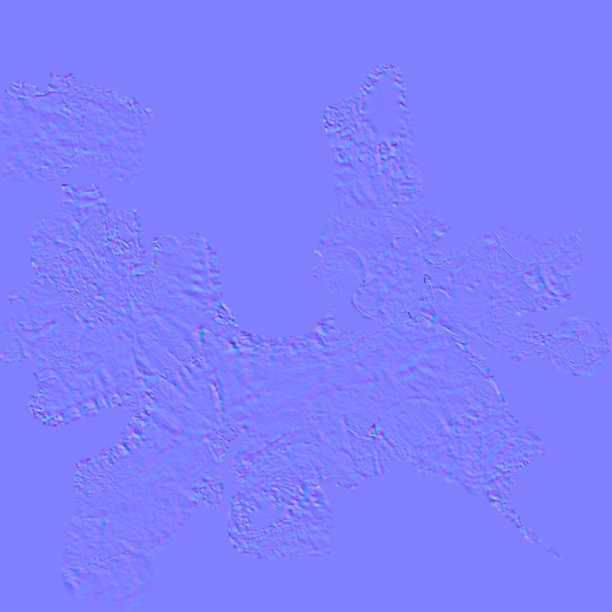 3D model Skull Realistic Siva-pithecus skull 3d model evolution Low-poly 3D model_6