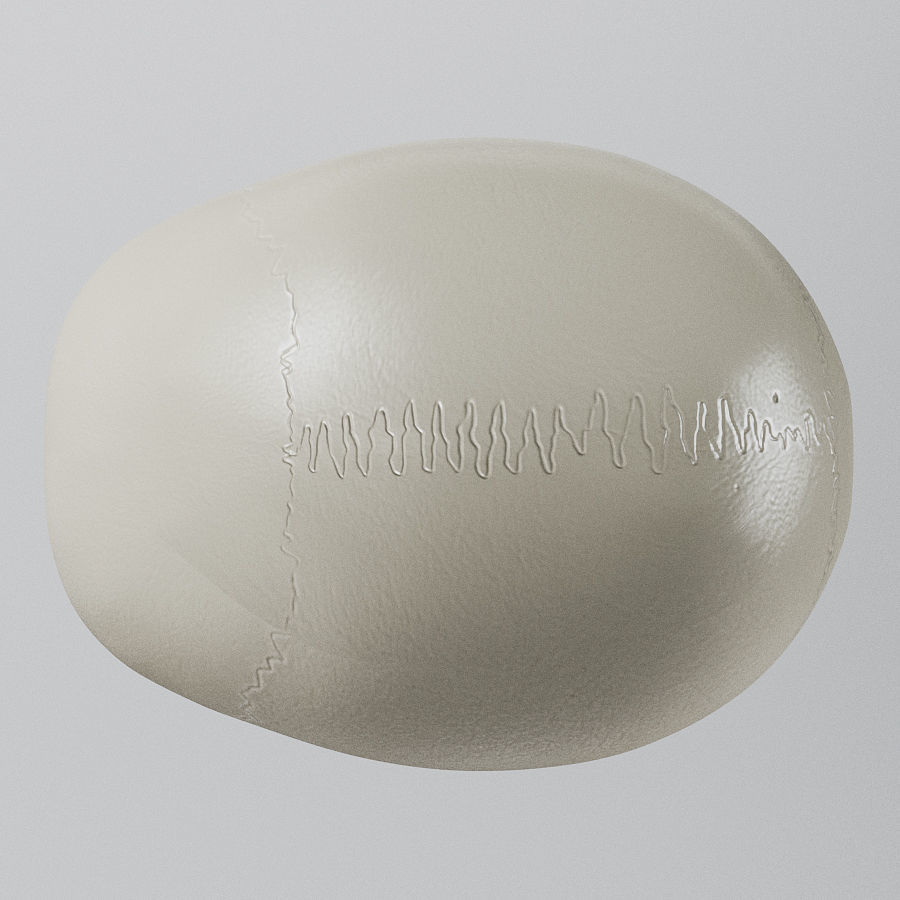 Human Skull - Anatomy 3D model_6