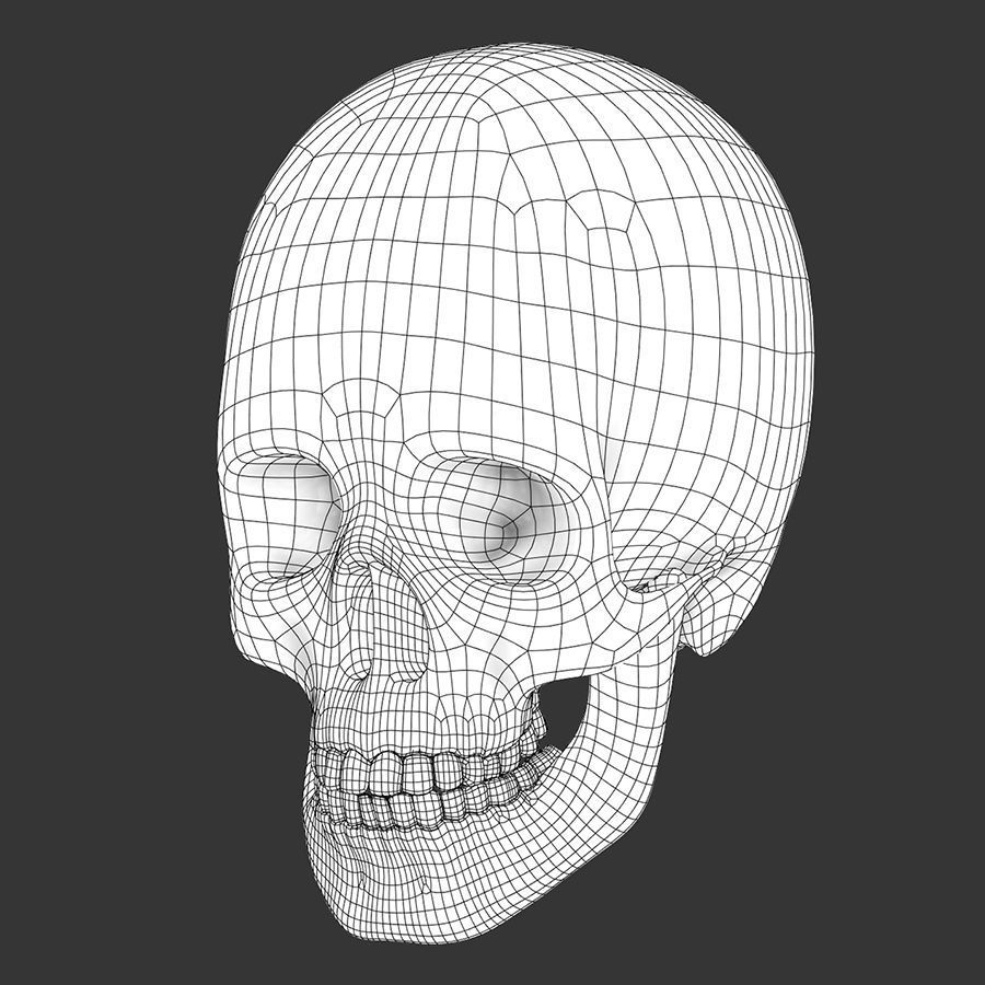 Human Skull - Anatomy 3D model_9
