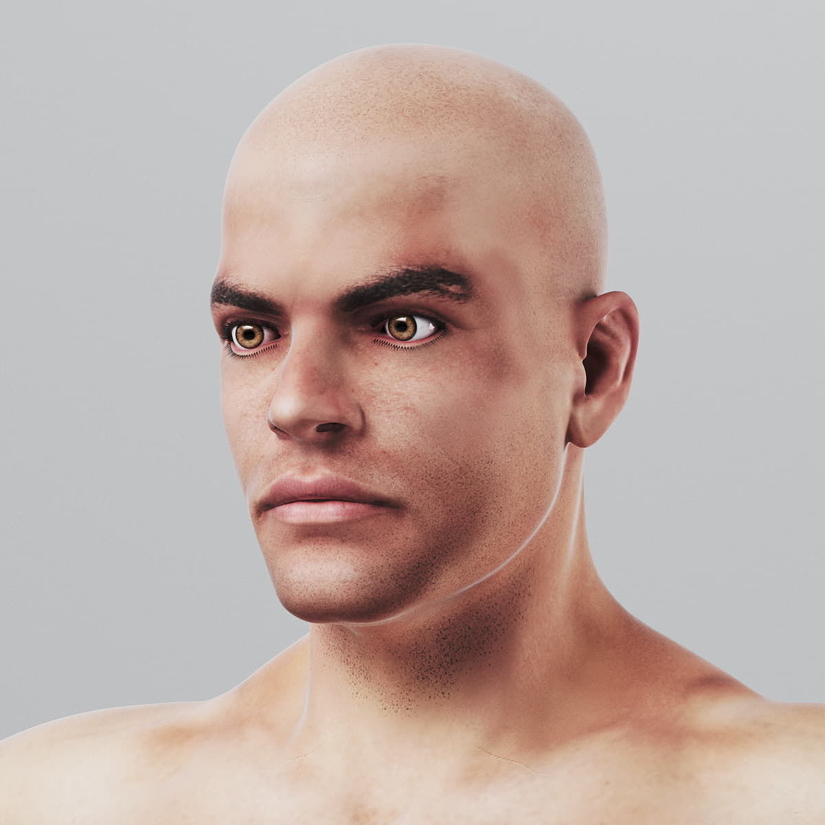 Human Male Body Textured - Anatomy 3D model_8