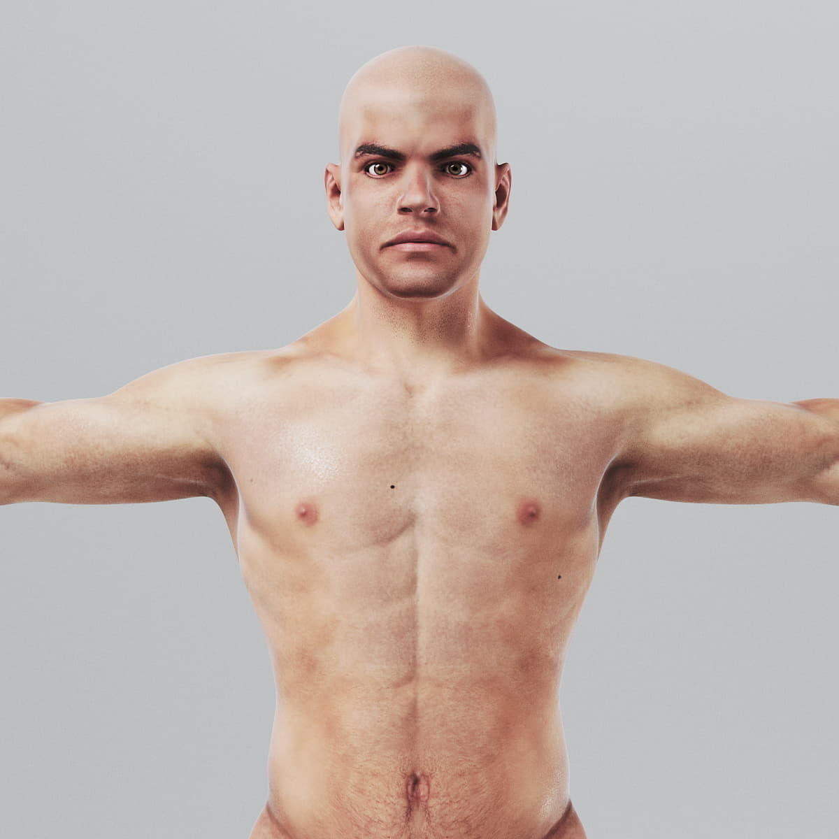 Human Male Body Textured - Anatomy 3D model_3