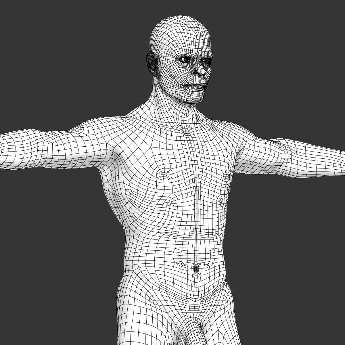 Human Male Body Textured - Anatomy 3D model_20