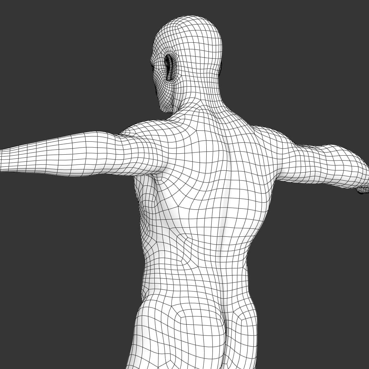 Human Male Body Textured - Anatomy 3D model_21