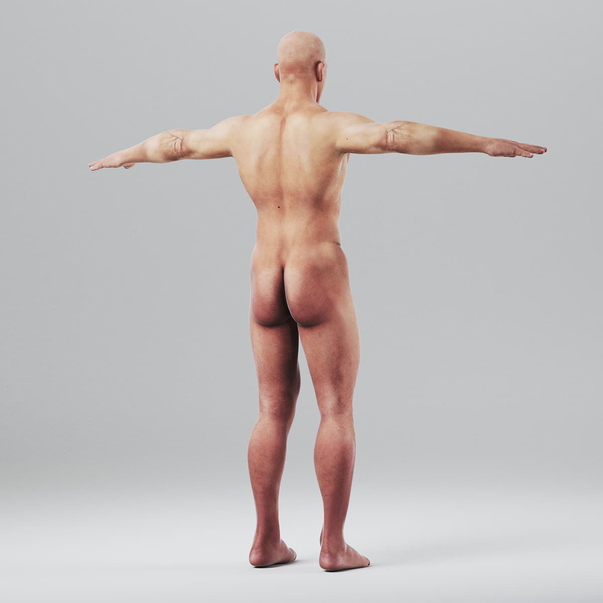 Human Male Body Textured - Anatomy 3D model_7