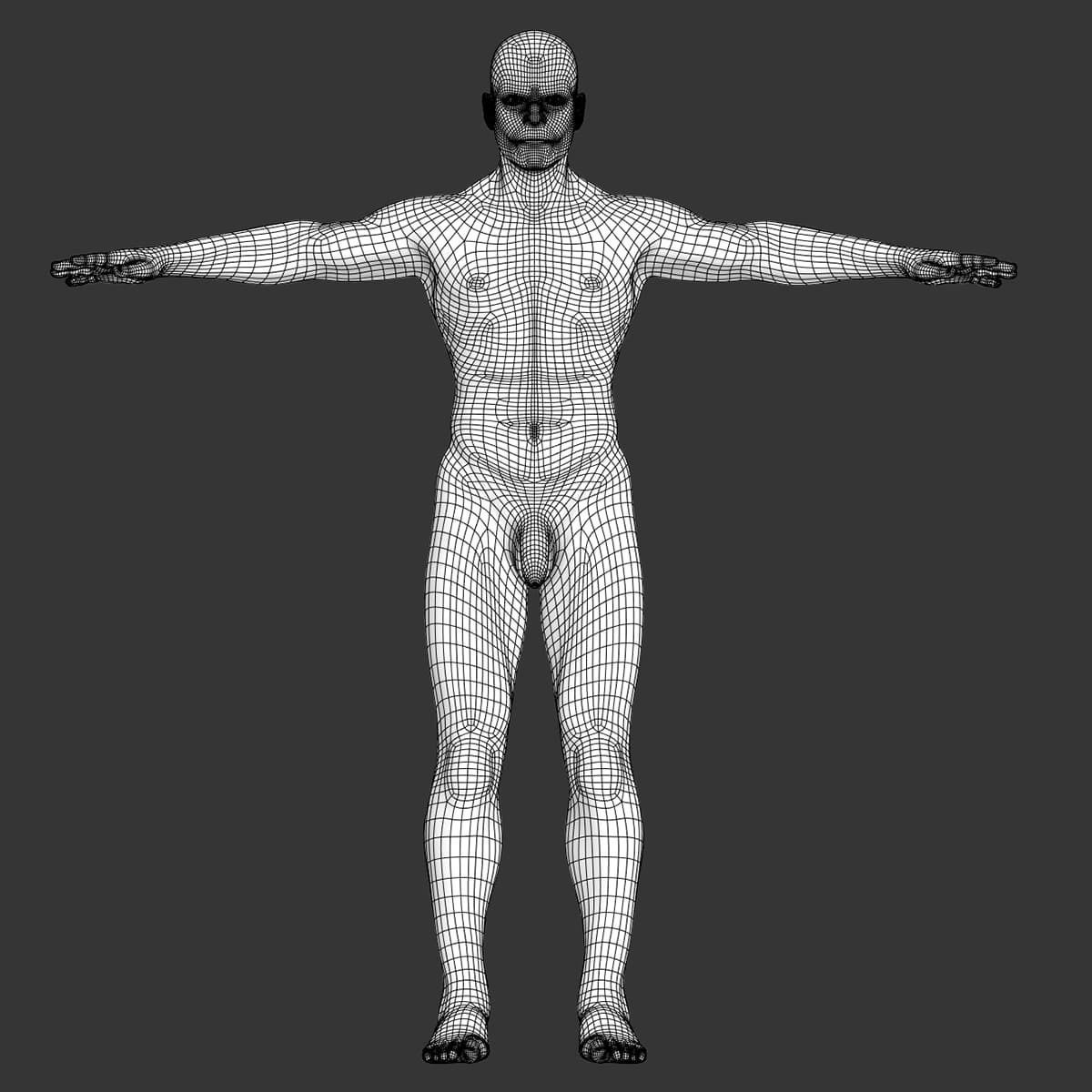Human Male Body Textured - Anatomy 3D model_18