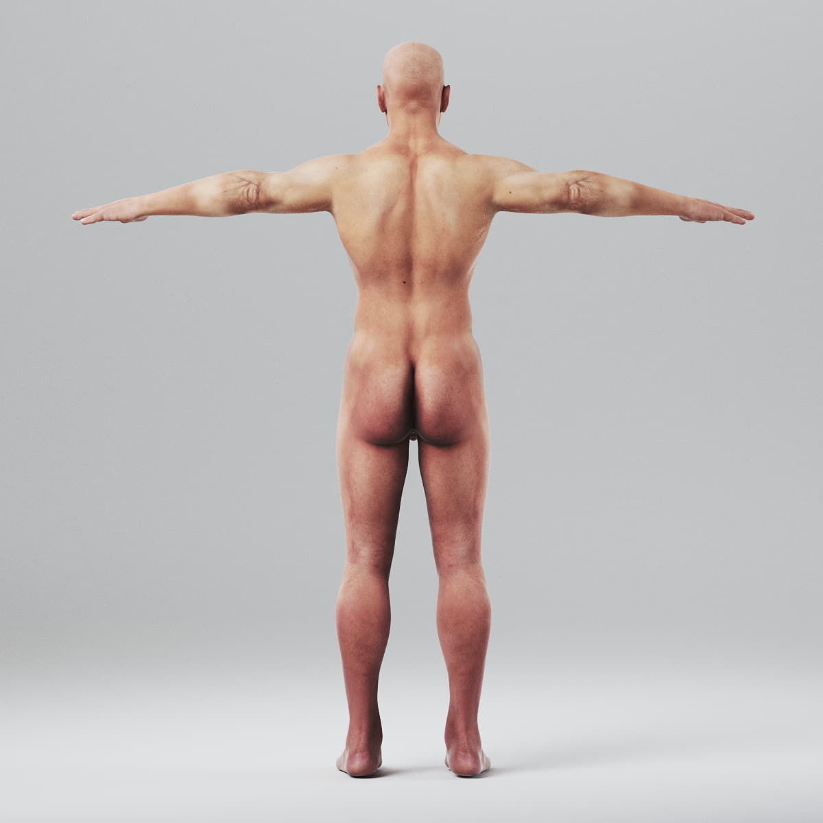 Human Male Body Textured - Anatomy 3D model_5