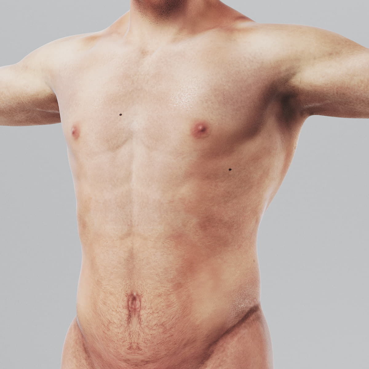 Human Male Body Textured - Anatomy 3D model_10