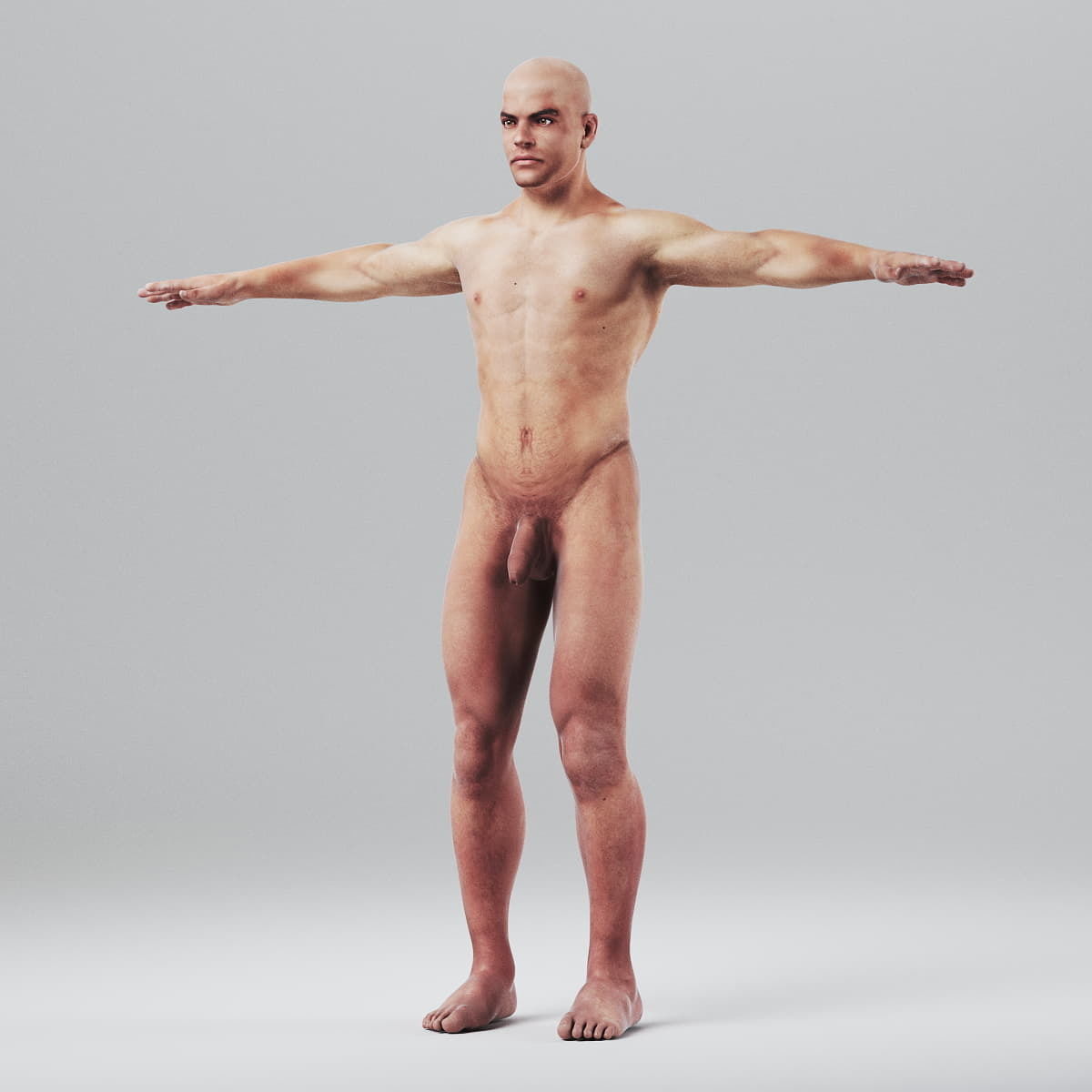 Human Male Body Textured - Anatomy 3D model_6