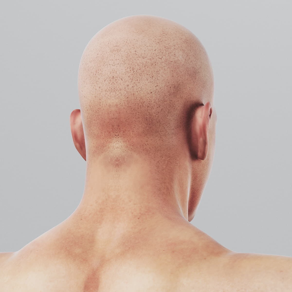 Human Male Body Textured - Anatomy 3D model_9