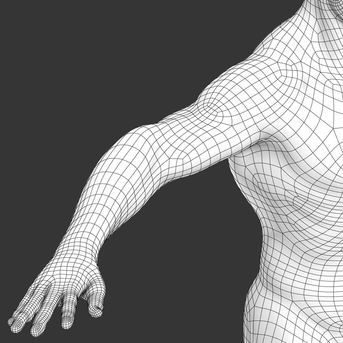 Human Male Body Textured - Anatomy 3D model_22