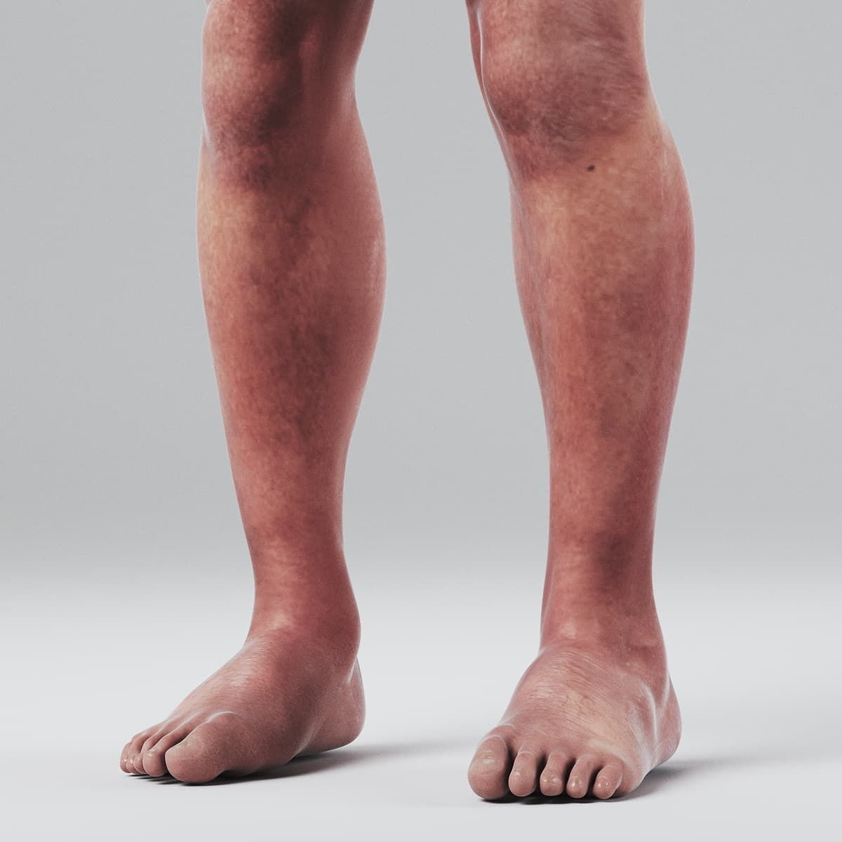 Human Male Body Textured - Anatomy 3D model_14