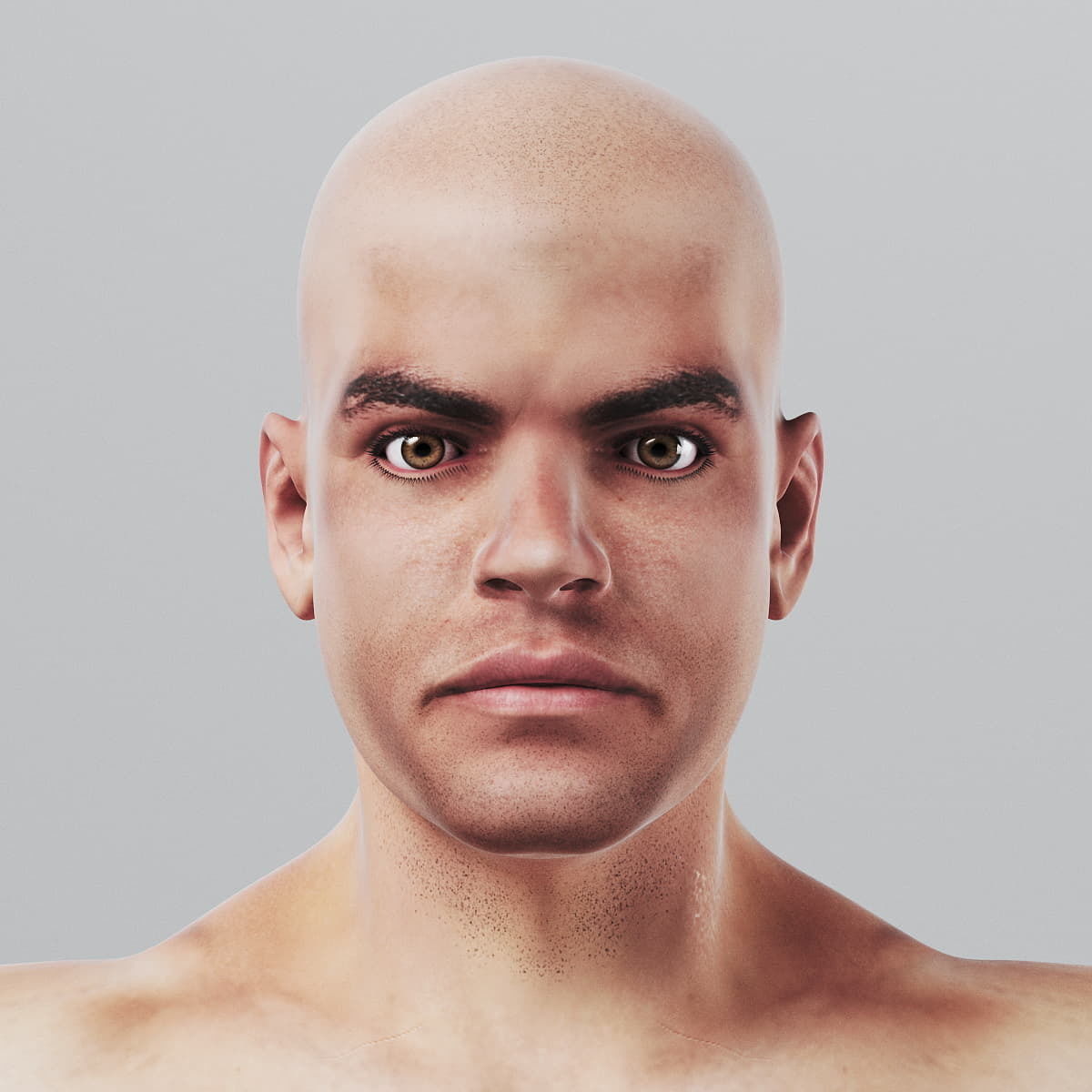 Human Male Body Textured - Anatomy 3D model_2