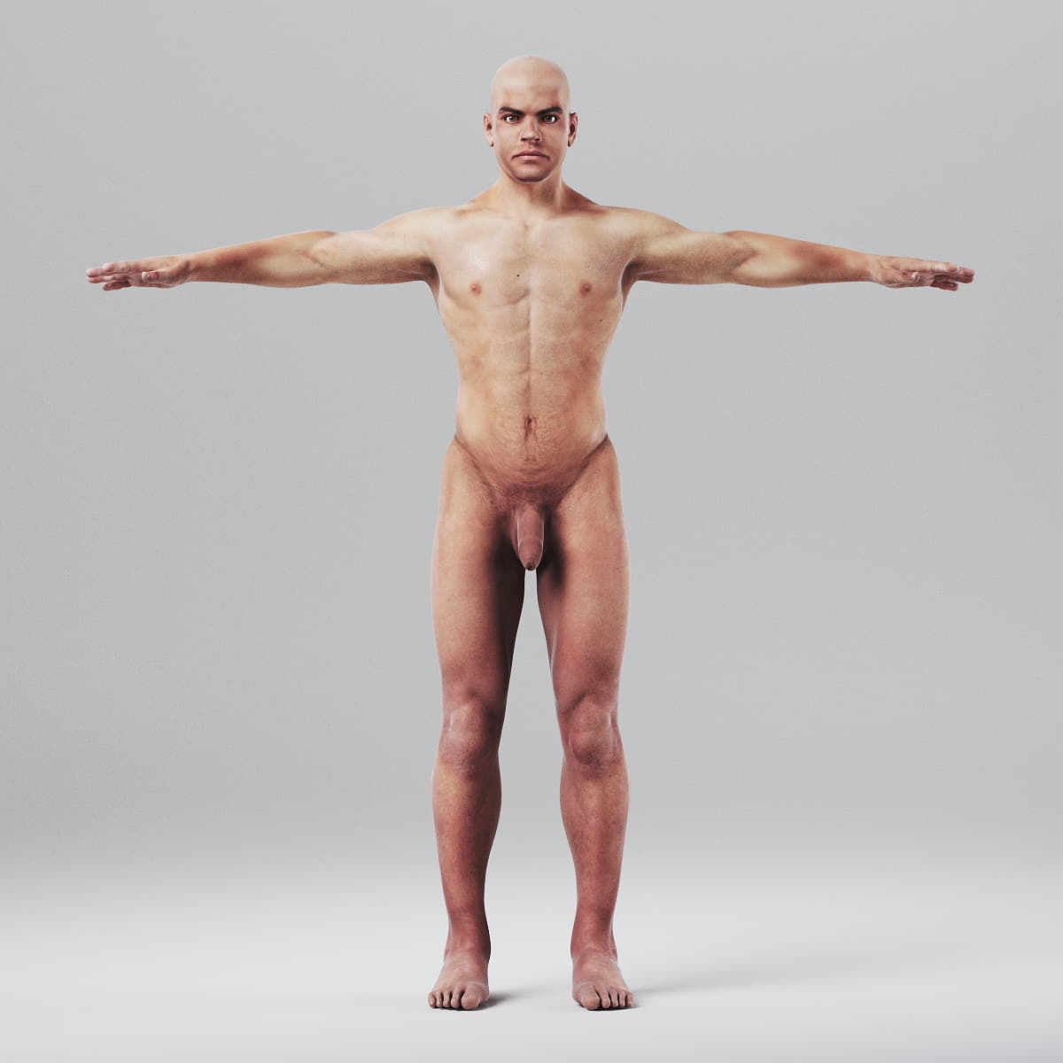 Human Male Body Textured - Anatomy 3D model_4