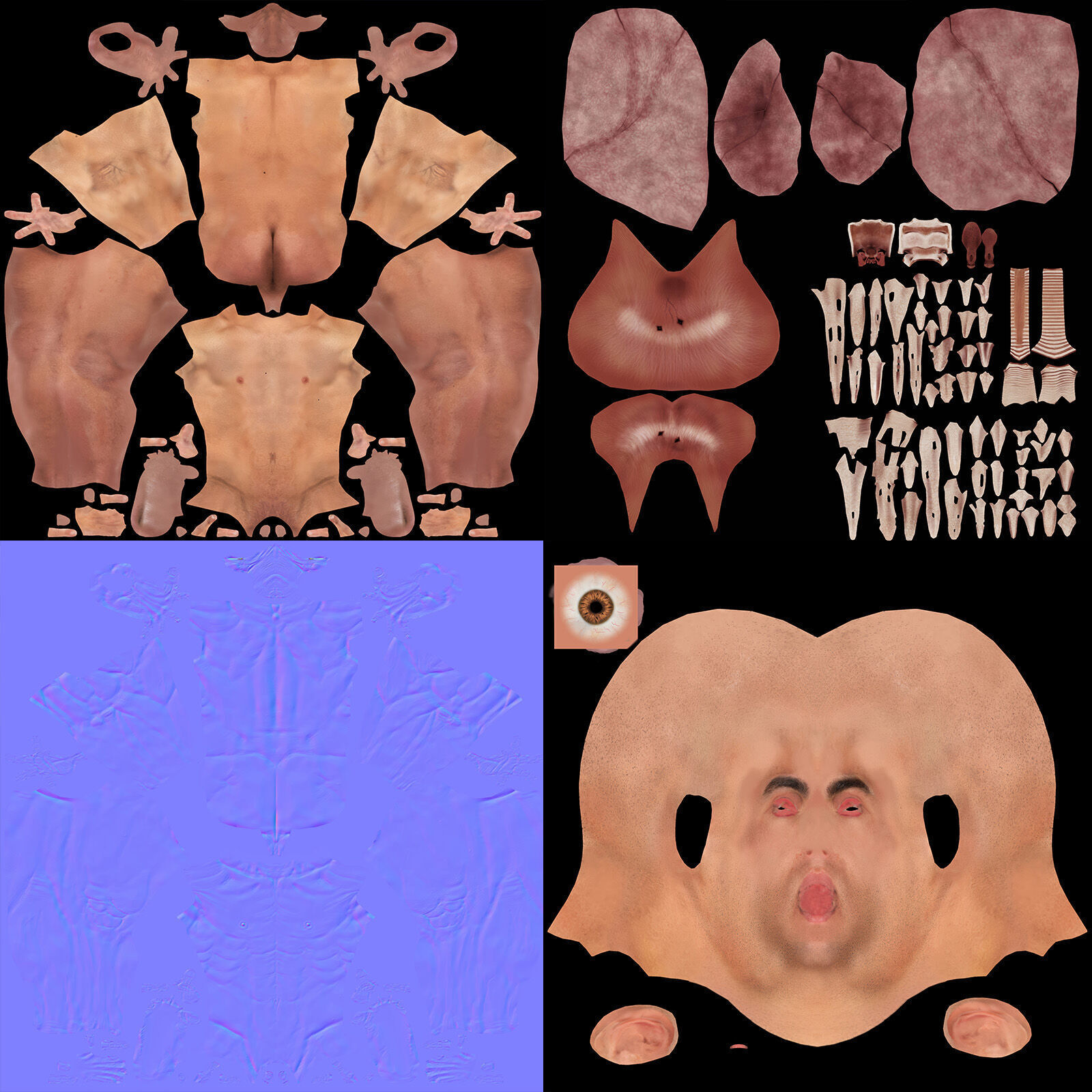 Human Male Respiratory Anatomy 3D model_11