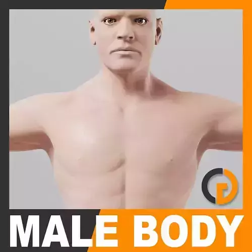 Human Male Body - Anatomy 3D model