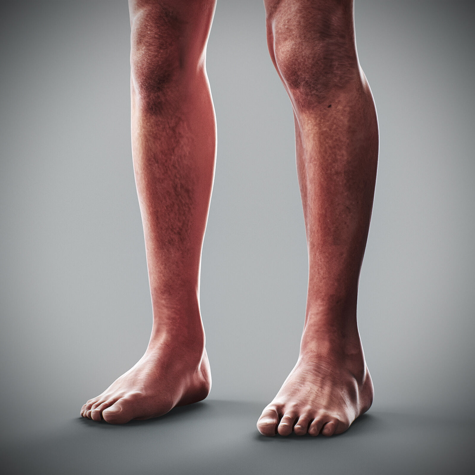 Human Male Anatomy 3D model_64