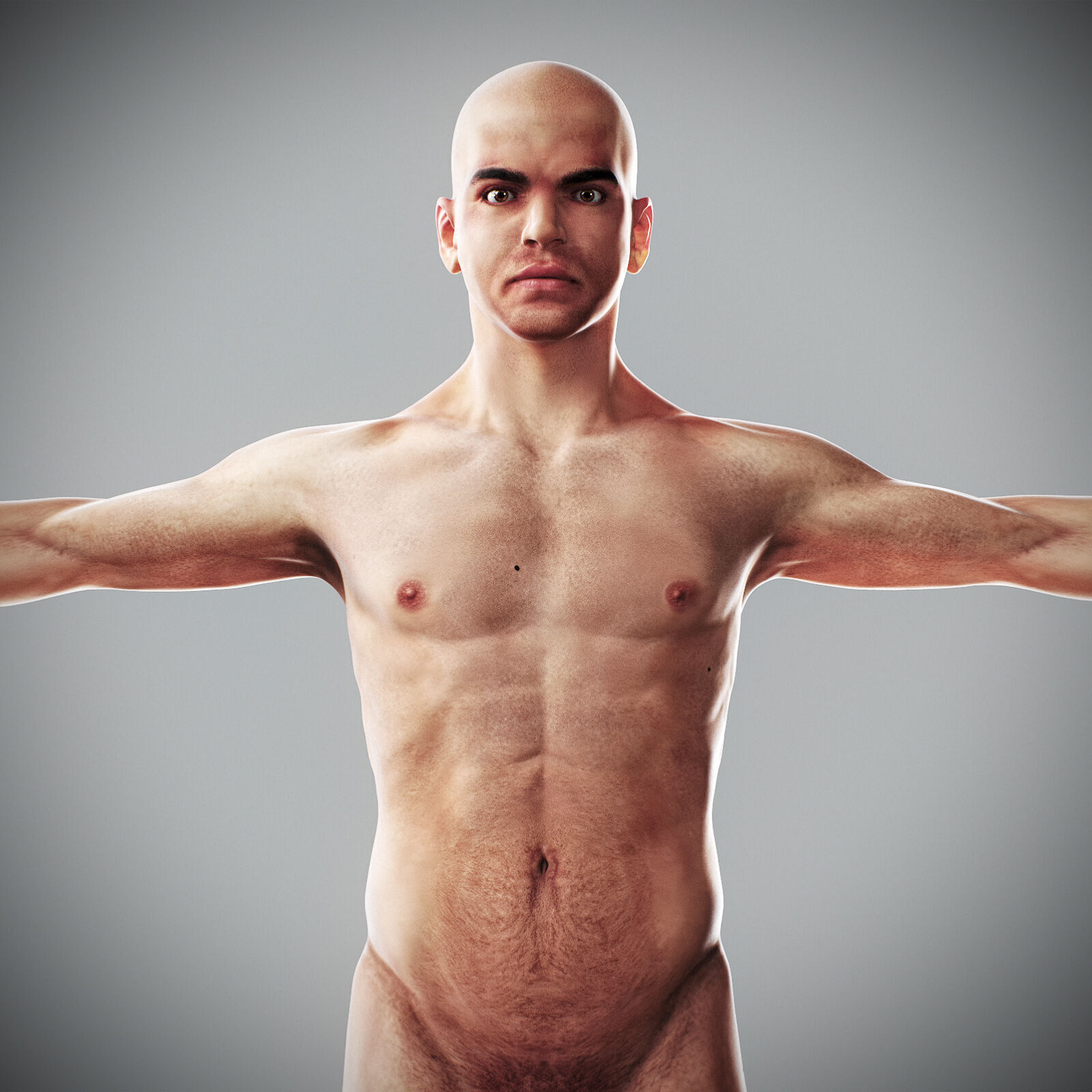 Human Male Anatomy 3D model_56